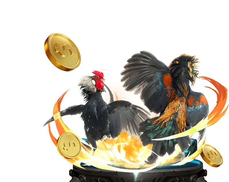 Tổng quan nền tảng chat sunwin